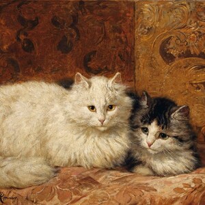 Cat Art, Cat Artwork, Cat Print, Cat Wall Art, Cat Decor, Antique Vintage Animal Print, 19th Century, Cat Resting, Henriëtte Ronner-Knip