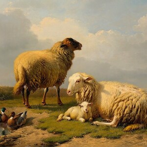 Sheep, Sheeps, Rural Artwork, Farmhouse Art, Vintage Farm Art, Sheep and Ducks Art, Sheep and Lamb Print, Vintage Mountain Scene, 311