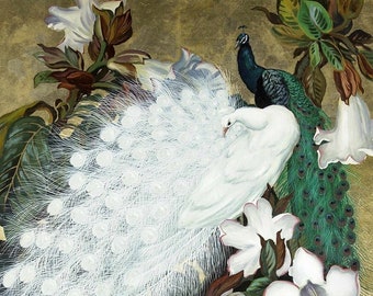 Peacock, Art Print, Artwork, Print of a Painting, Vintage Art, Peacock Artwork, Art Deco, Art Nouveau, Vintage Art, Boho Decor,