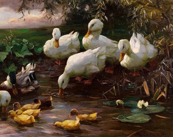 American Pekin, Alexander Max Koester, Duck Art Print, Duck Wall Art, Duck Decor, Farmhouse Art, duck artwork, Ducks in a Pond,