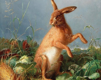 May include: A brown rabbit with white fur on its belly stands on its hind legs in a field of green plants. The rabbit is looking to the left of the image. The background is a blue sky with white clouds.