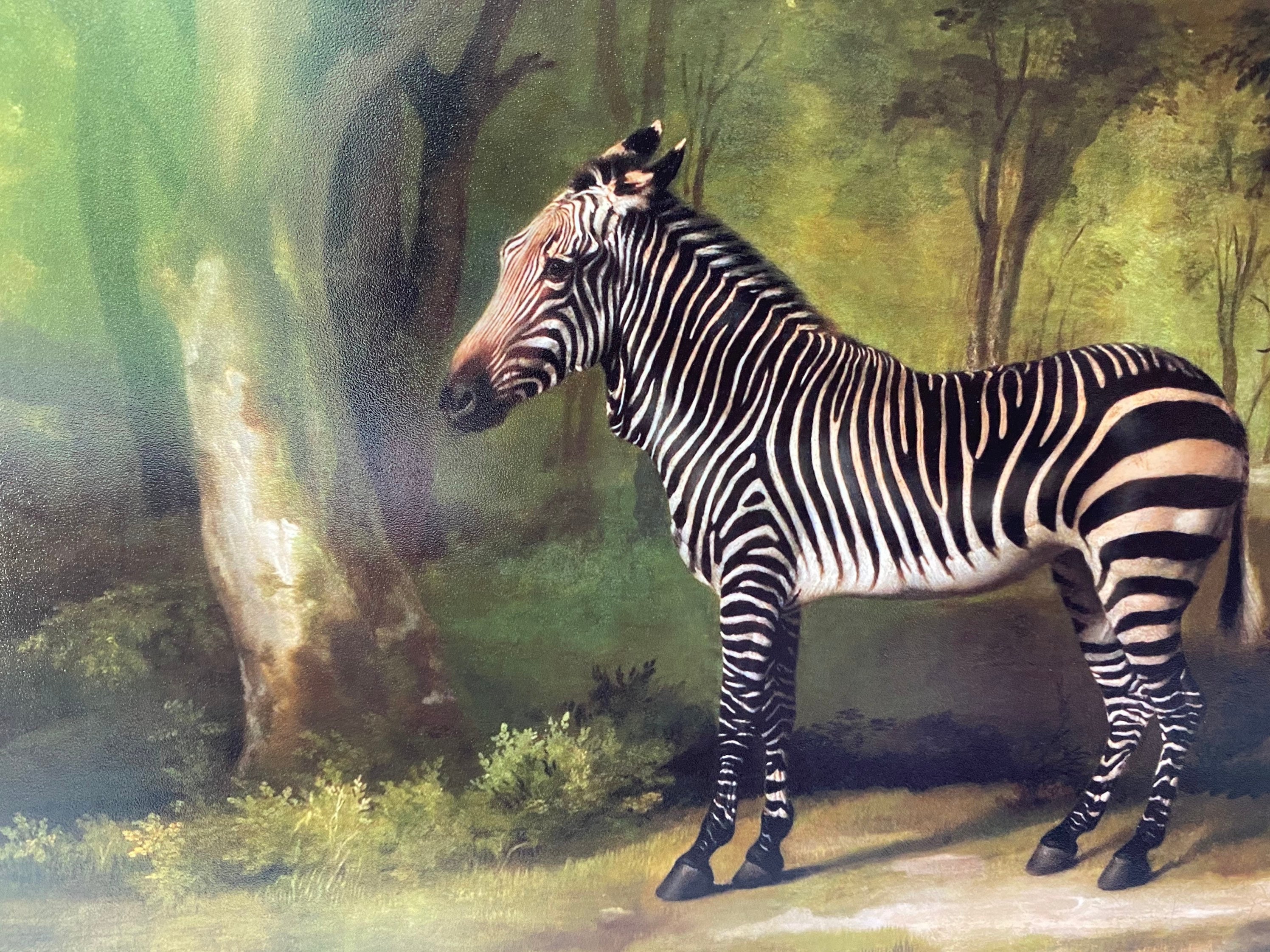絵画 Zebrappy Absolutely GORGEOUS Zebra in the Jungle Art Print Chinoiserie