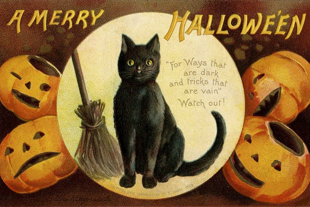 Black Cat Art, Victorian, Halloween, Victorian Decor, Art Deco, Artwork