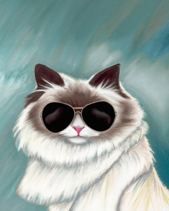 Cat with sunglasses