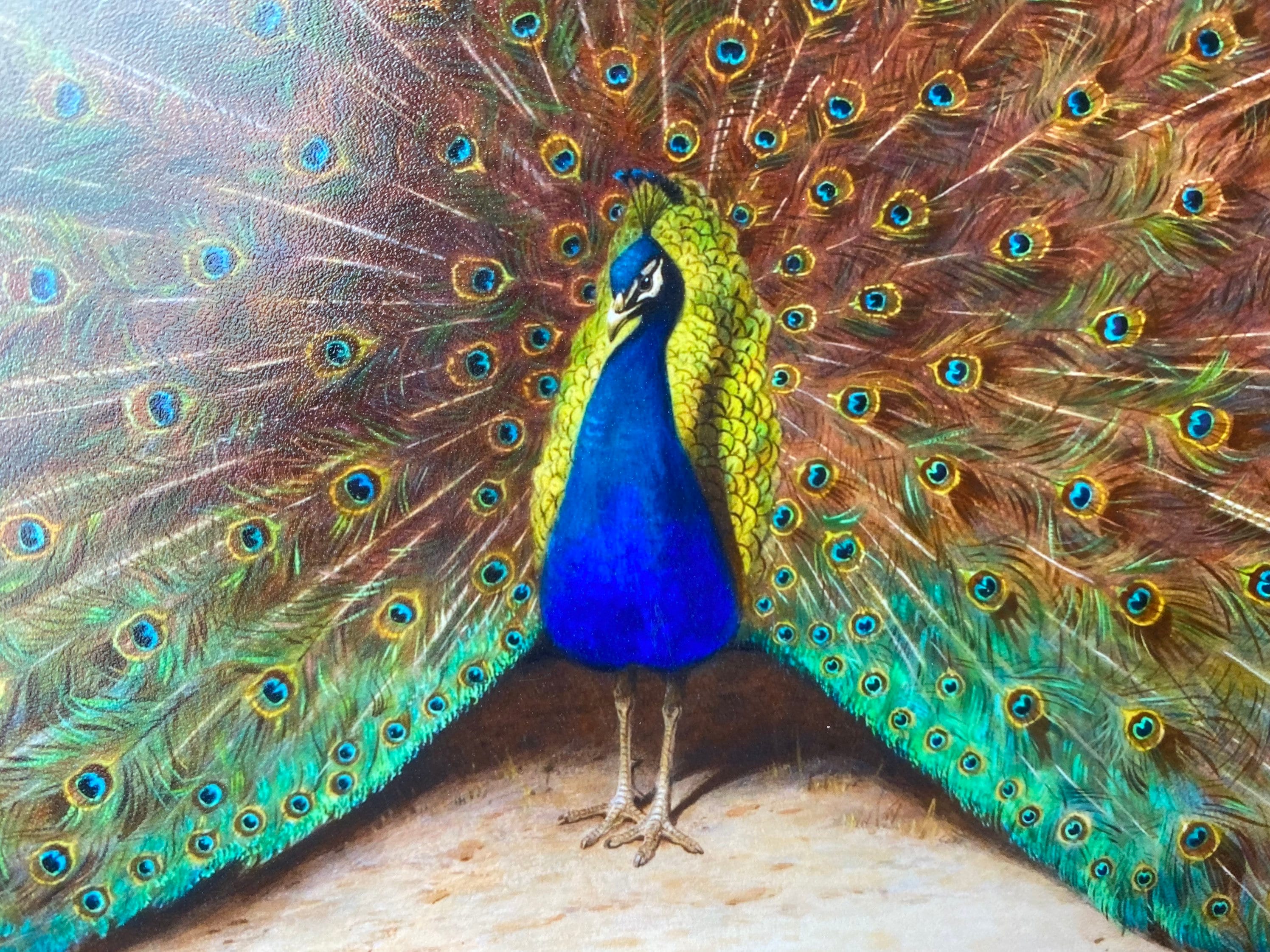 Peacock Original Oil Painting on Canvas Peacock Painting