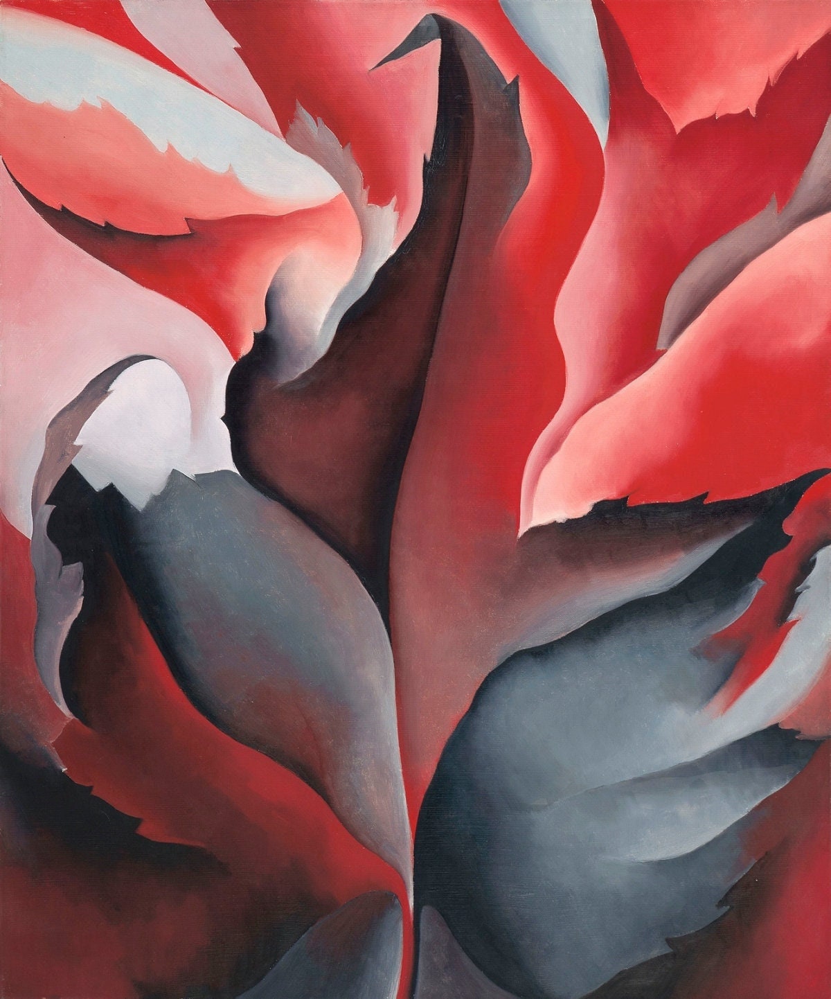 Georgia outlet okeefe paintings