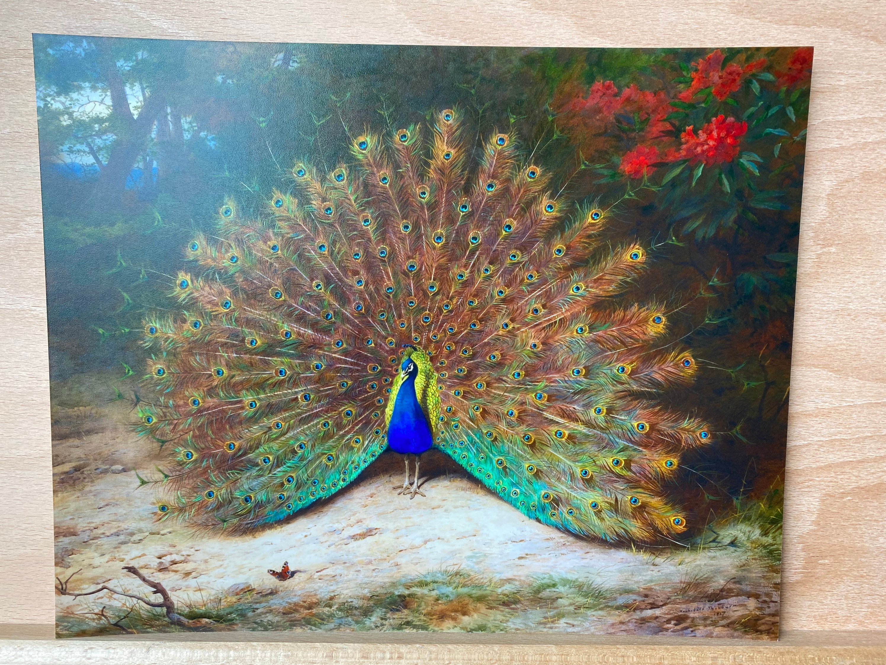 Peacock Original Oil Painting on Canvas Peacock Painting