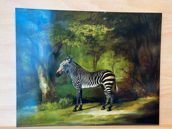 Vintage Zebra Art Print, George Stubbs, Antique Animal Wall Art