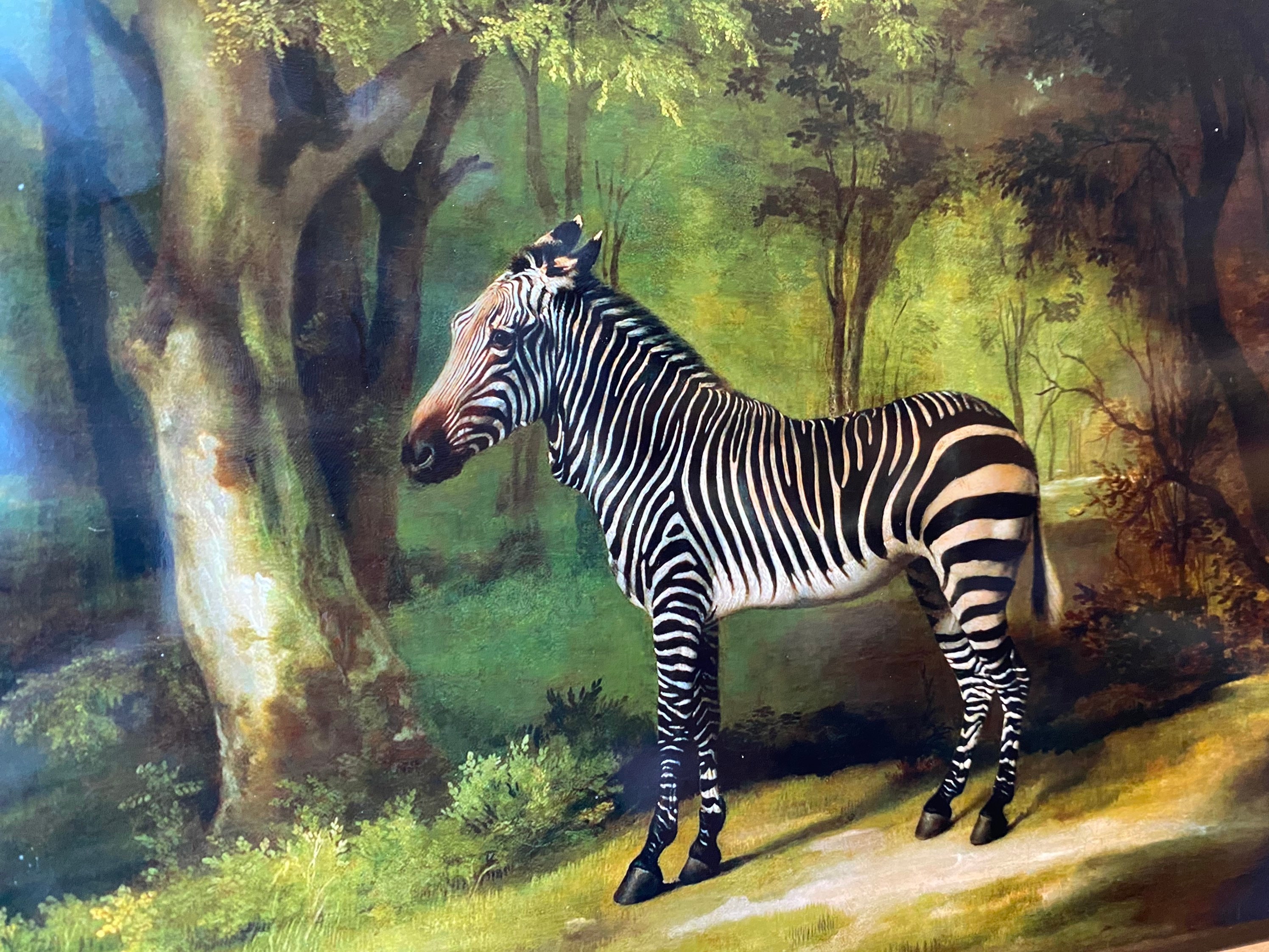 絵画 Zebrappy Vintage Zebra Art Print, George Stubbs, Antique Animal Wall Art