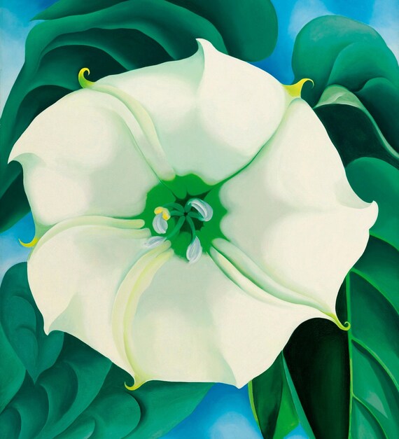 Jimson Weed, White Flower No. 1, Georgia O'Keeffe, Artwork