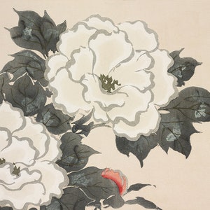 LARGE 12x18 Poster Print, Flower, Floral, Flowers, Still Life, Art, Chinoiserie, White Flower, Kamisaka Sekka, Kanagawa, Peonies,