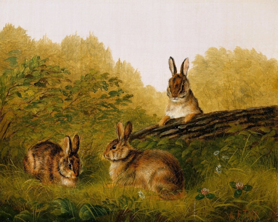 Vintage Rabbit Art Print, Nursery Wall Art, Cottage Decor, Farmhouse ...