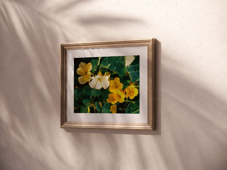 Yellow Nasturtium Double Exposure on 35mm film /// digital download flower wall art, film photography, nature print, garden closeup image 2