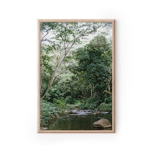 Kapa&#39;a Stream en película de 35 mm /// *descarga digital* impresión de fotografía kauai, arte de pared hawaiano, decoración aloha, arte de pared tropical, fotografía de vapor