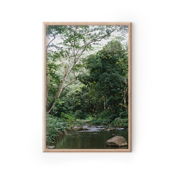 Kapa'a Stream on 35mm film /// *digital download* kauai photography print, hawaii wall art, aloha decor, tropical wall art, steam photograph