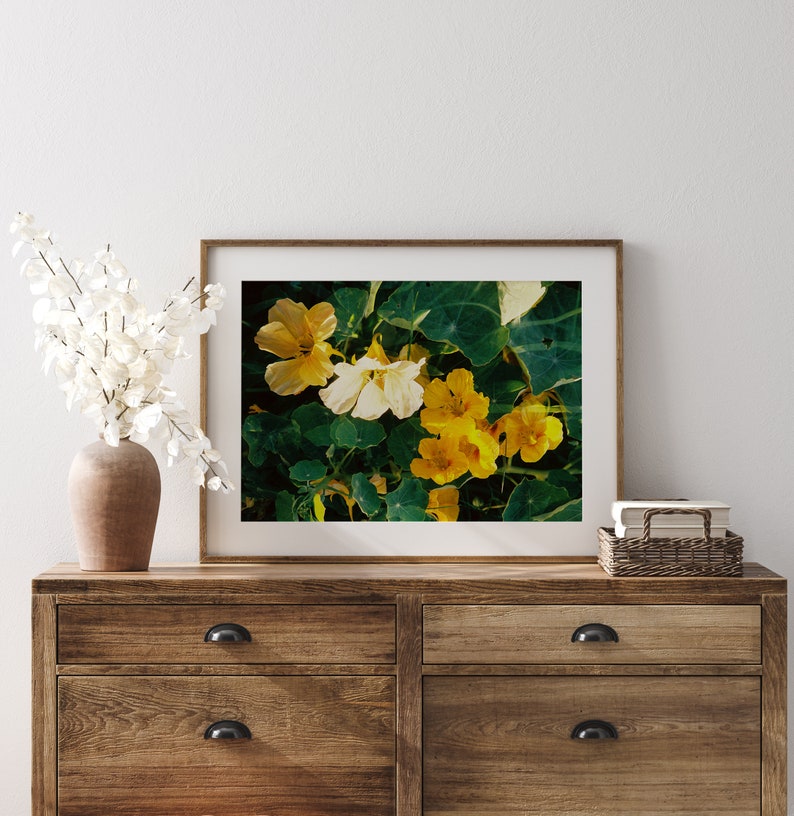 Yellow Nasturtium Double Exposure on 35mm film /// digital download flower wall art, film photography, nature print, garden closeup image 5