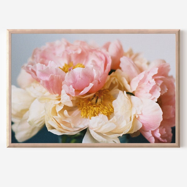 Coral Charm Peonies on 35mm film /// *digital download* flower wall art, film photography, pink floral print, peony artwork