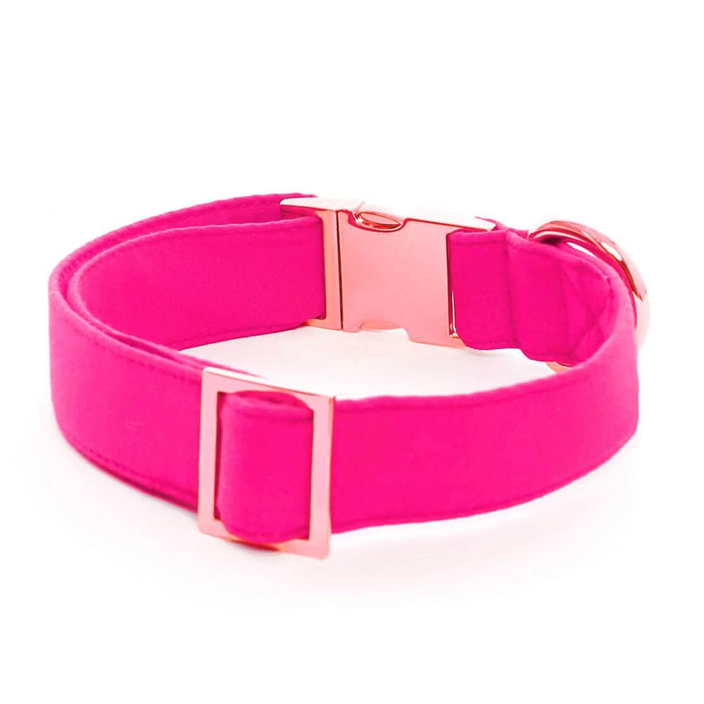 Hot Pink Dog Collar // Bright pink pet collar // Modern dog Etsy