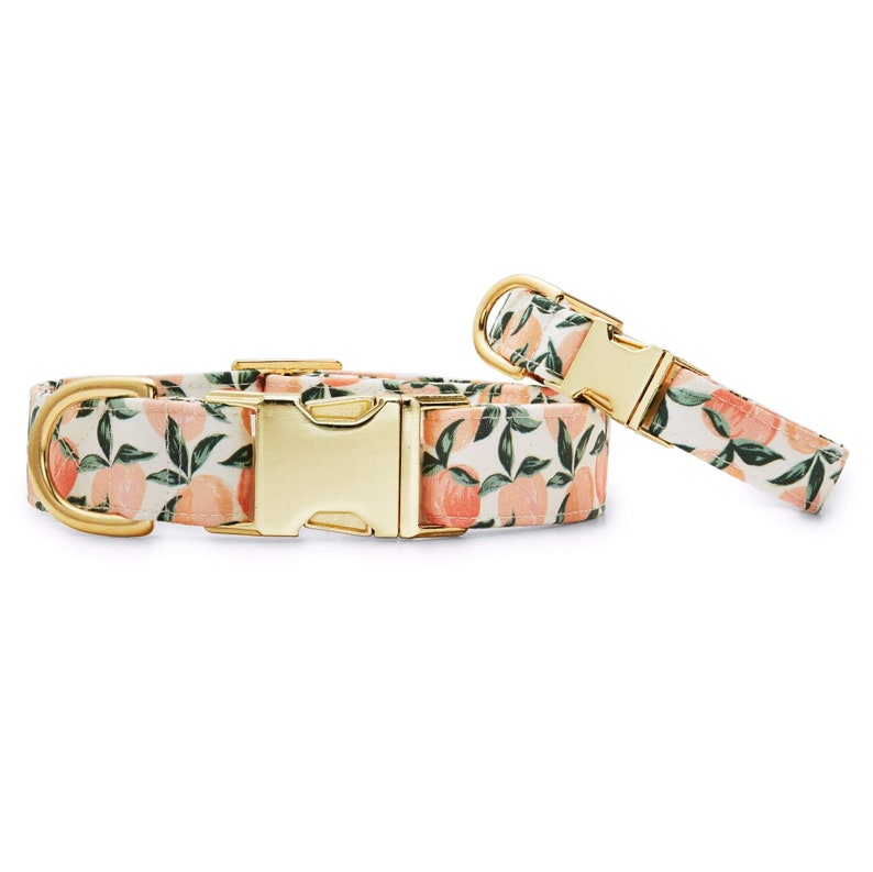 SECONDS SALE Peaches and Cream Dog Collar // Peaches Print Etsy