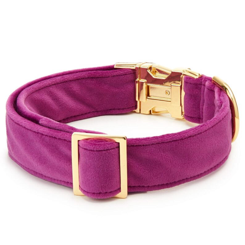 SECONDS SALE: Plum Velvet Dog Collar // Velvet Dog Collar // Modern pet collar with discolored hardware image 2