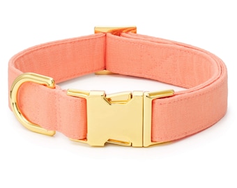 SECONDS SALE: Mango Dog Collar // Solid Dog Collar //  Modern pet collar with discolored hardware