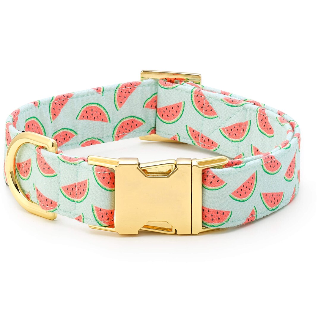 SECONDS SALE One in a Melon Dog Collar // Spring Pet Collar