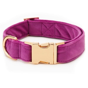 SECONDS SALE: Plum Velvet Dog Collar // Velvet Dog Collar // Modern pet collar with discolored hardware image 1