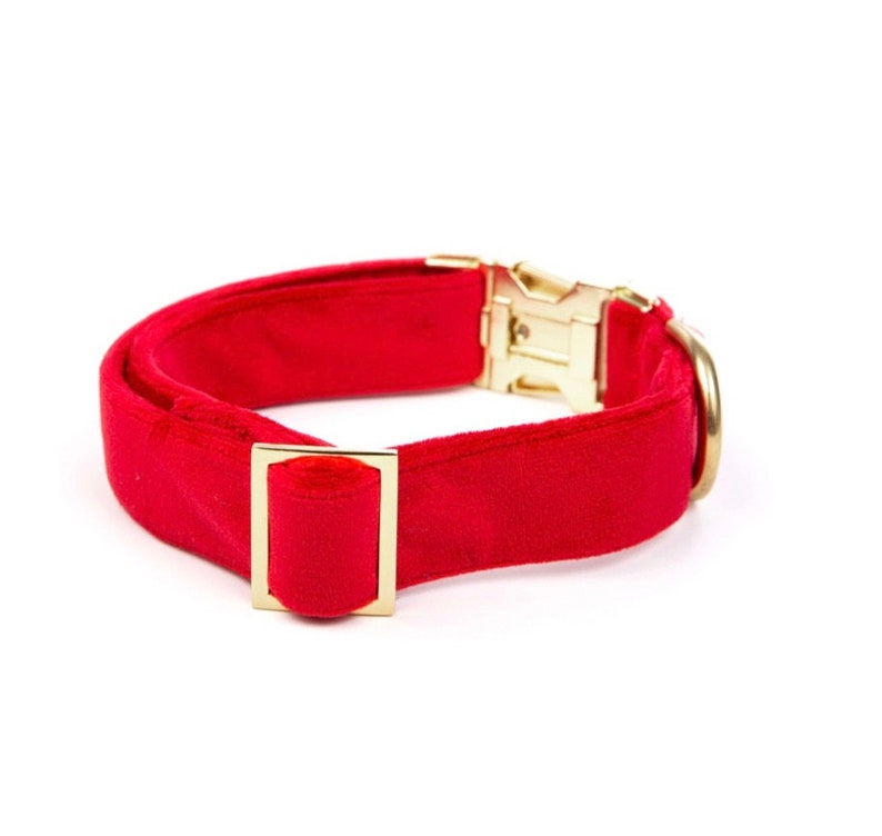 Cranberry Velvet Dog Collar // Red pet collar // Holiday dog image 2