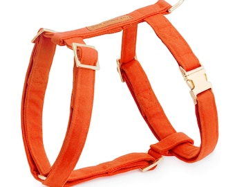 SALE: Cider Dog Harness // Orange pet harness // Modern harness on sale