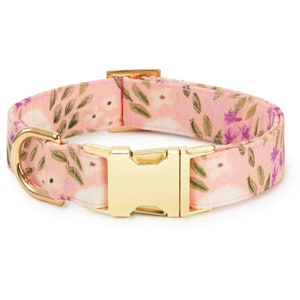 SECONDS SALE: Harper Floral Dog Collar // Spring pet collar // Floral Dog Collar //  Modern pet collar with discolored hardware