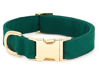 SECONDS SALE: Evergreen Dog Collar // Green Dog Collar //  Modern pet collar with discolored hardware