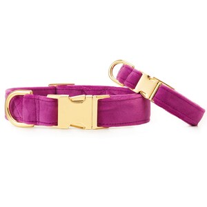 SECONDS SALE: Plum Velvet Dog Collar // Velvet Dog Collar // Modern pet collar with discolored hardware image 3