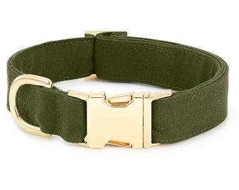 SECONDS SALE: Olive Dog Collar // Green Dog Collar //  Modern pet collar with discolored hardware