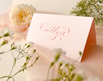 Pale blush pink tent fold wedding place names with calligraphy