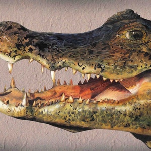 Crocodile printable art - Instant Digital Download