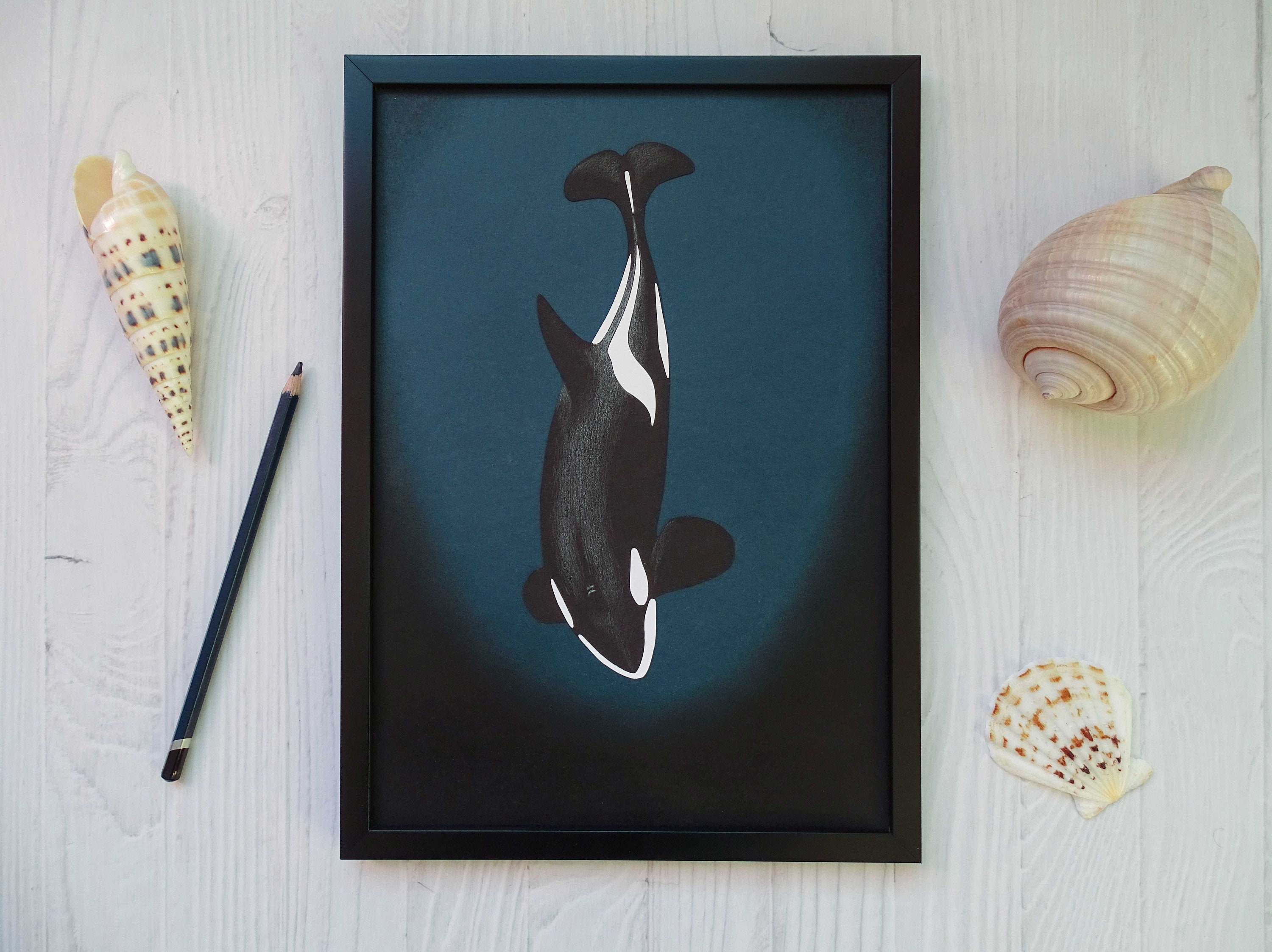 Orca Whale Paper Cut Art - Killer Whale Illustration - Etsy
