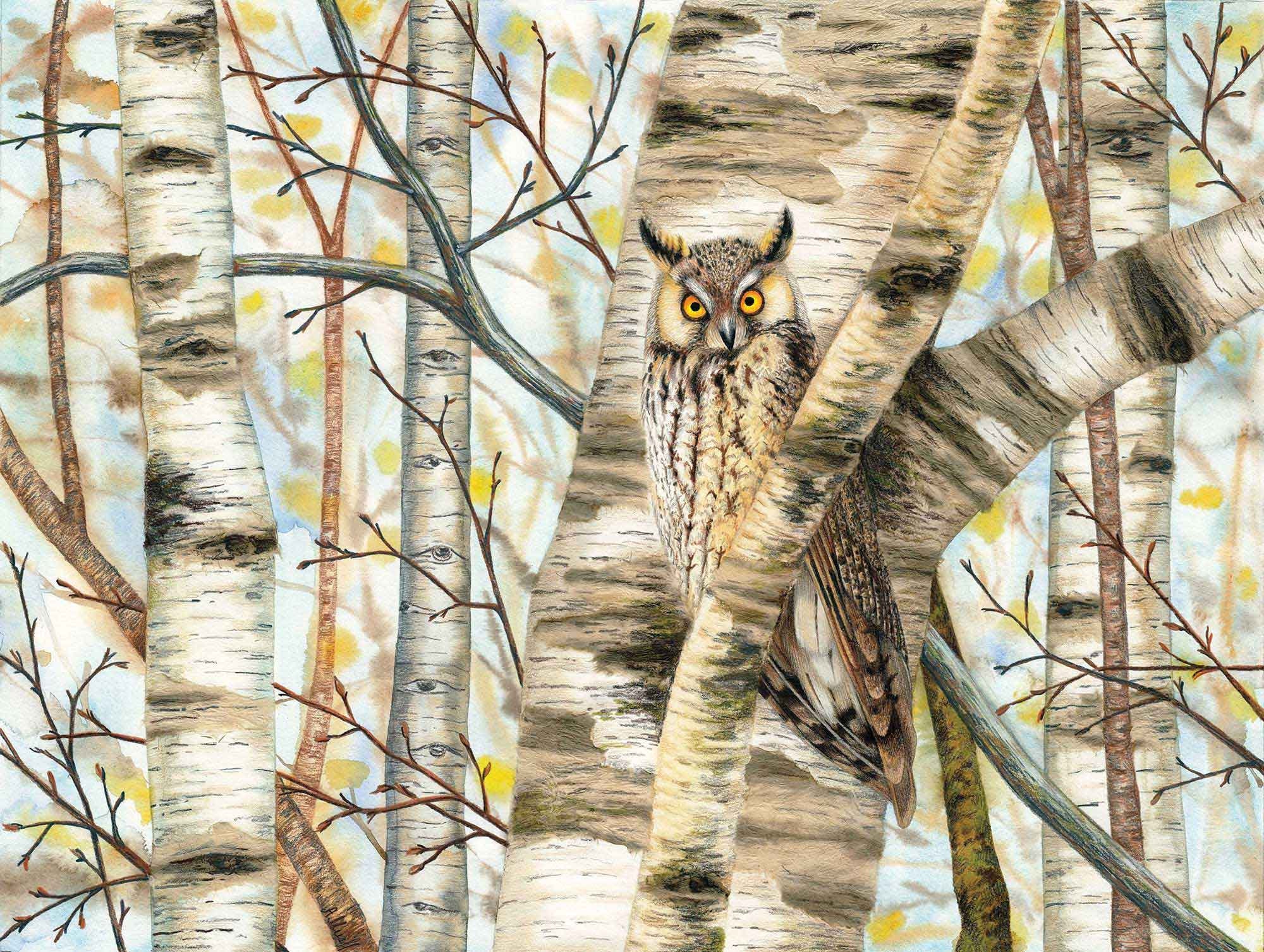 Owl original artwork - Collage painting - Eyes of the forest