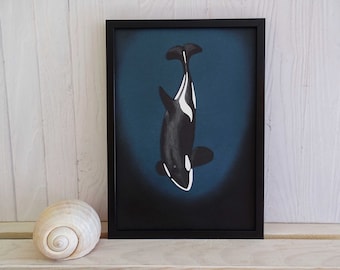 May include: A framed black and white illustration of an orca whale swimming in a dark blue ocean. The orca is facing upwards with its tail fin visible.