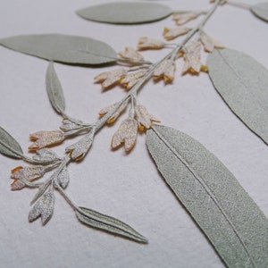 Pressed flowers and leaves - Wolf willow - Herbarium dry Silver berry blossom