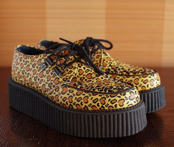 leopard creepers