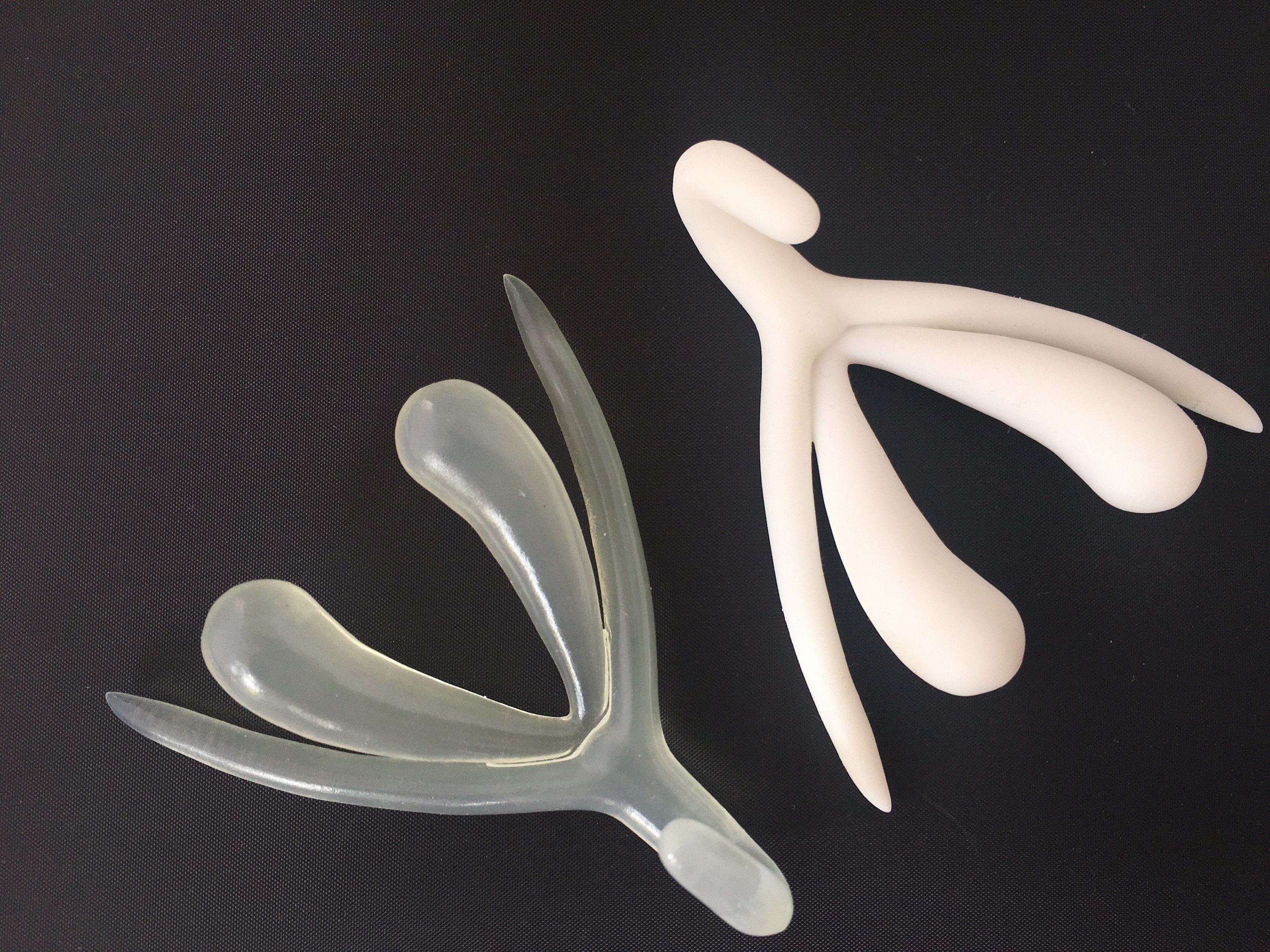 Klitoris voller Größe anatomische Modell | Etsy