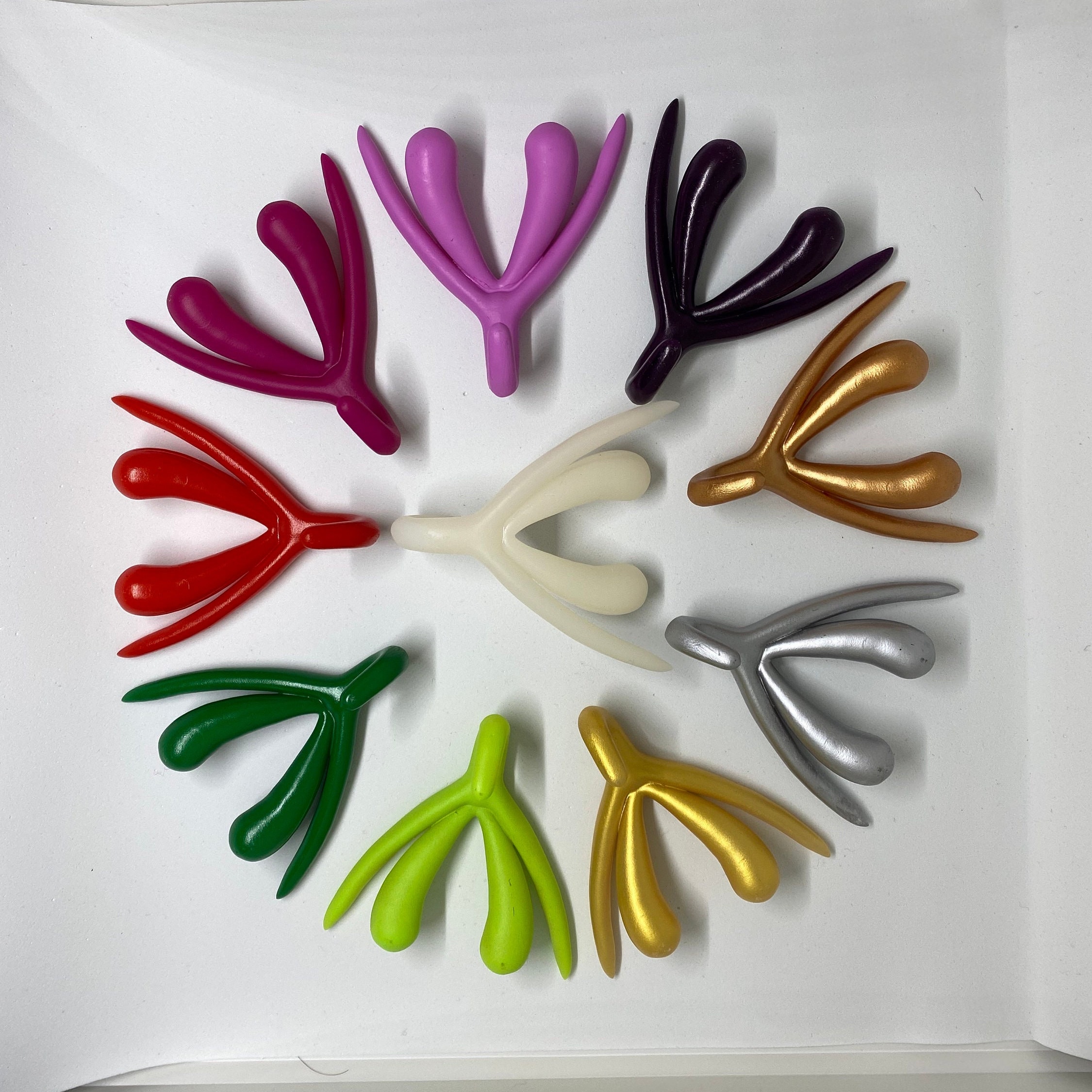 Clitoris - Full Size Anatomical Model