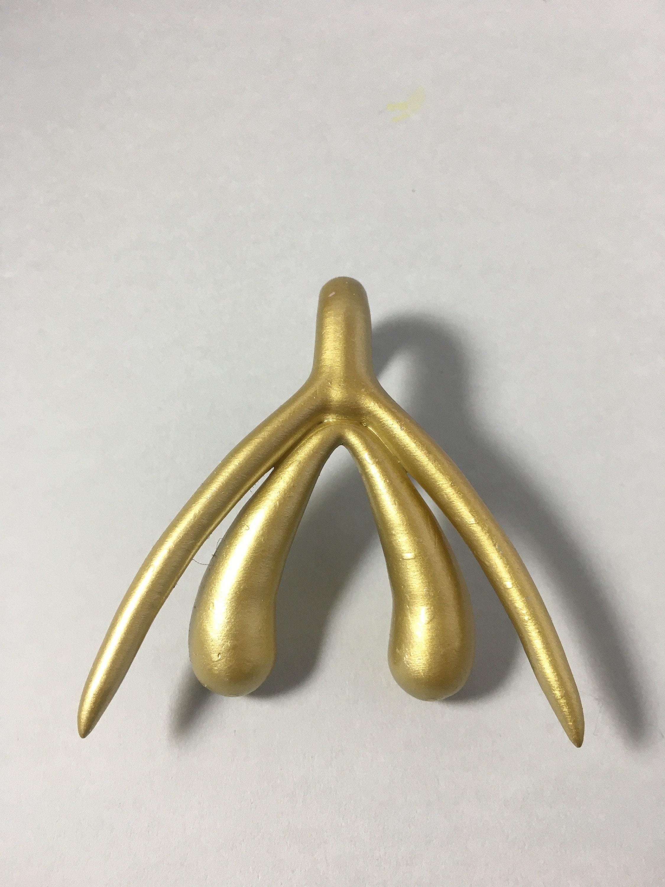 Klitoris voller Größe anatomische Modell | Etsy