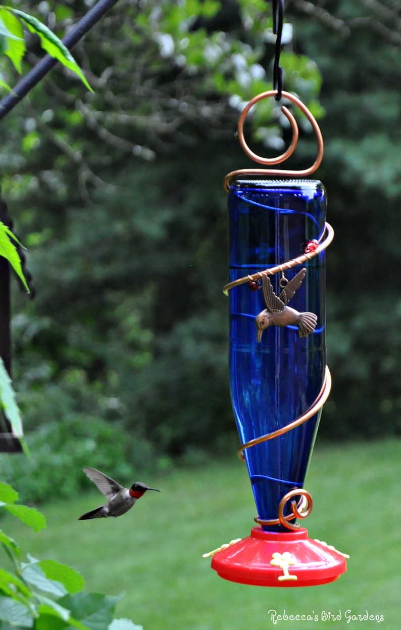 DIY Hummingbird Plastic Feeder Base Etsy Denmark