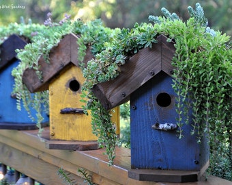 DIY Living Roof Birdhouse, Succulent Birdhouse, Green Roof, Birdhouse Planter, Wooden Birdhouse, Painted Birdhouse, Outdoor Birdhouse