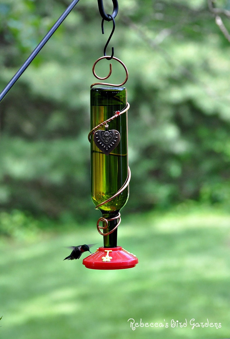 DIY Hummingbird Plastic Feeder Base Etsy
