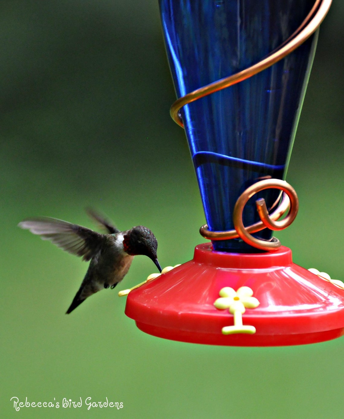 DIY Hummingbird Plastic Feeder Base Etsy