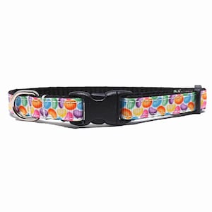 Jelly Bean Cat Collar - &#39;The Sweet Spot&#39; - Colourful Candy Breakaway for Kittens or Cats, with Bell