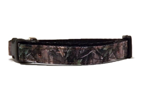camo cat collar