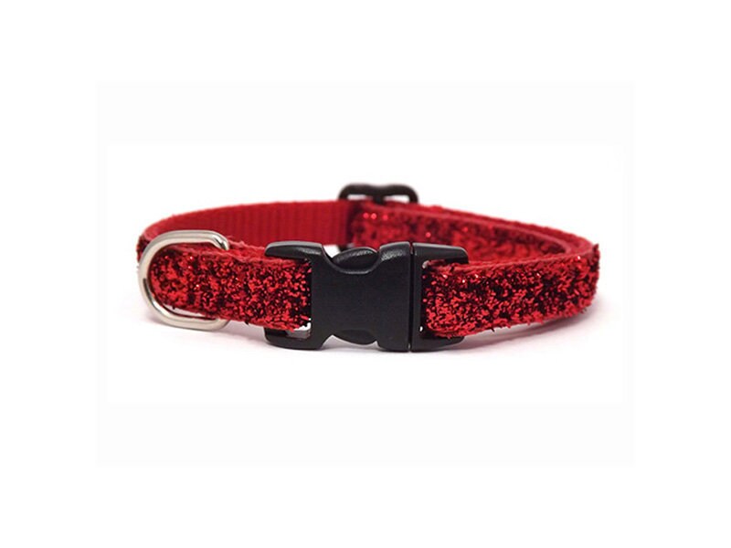 breakaway dog collars australia